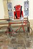 Vélo Sauvage Lejeune de Joseph Groussard et un maillot Lejeune de J Louis (...)